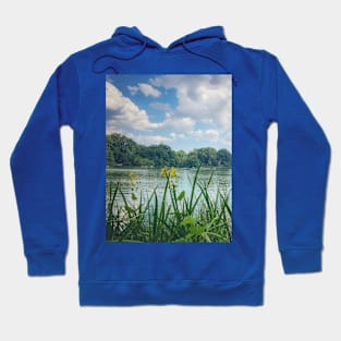 Central Park, Manhattan, New York City Hoodie